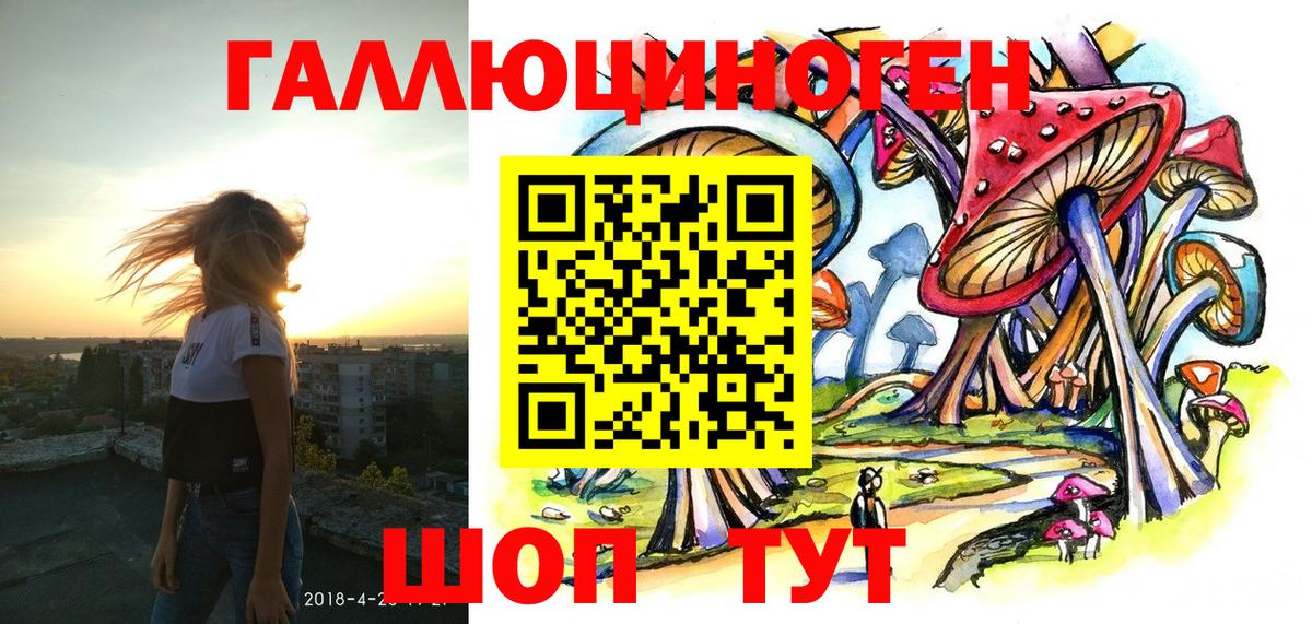 Гурьевск  Псилоцибиновые грибы прущие грибы  Вход с VPN  Галлюциногенные грибы Psilocybine cubensis 